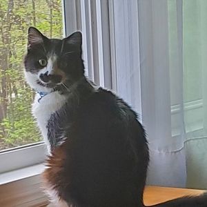 Meet your Posher, Tammy kelley